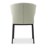 Delaney Side Chair Beige (Set of 2) EJ-1018-34 EJ 1018 34 03