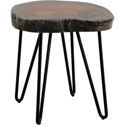 Parota Epoxy Live Edge End Table