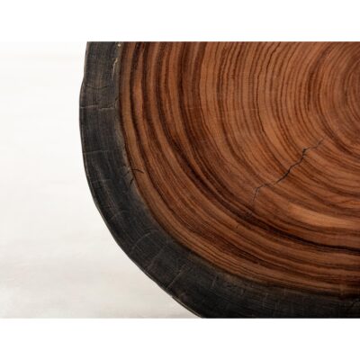 Parota Epoxy Live Edge End Table IFD8351ENDOR IFD8351ENDOR 07