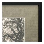Arise Framed Print JQ-1058-37 JQ 1058 37 Arise closeup shadsilo