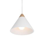 Daya Ceiling Fixture LPC4483 LPC4483 4