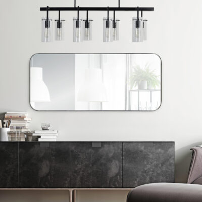 DELPHINUS Mirror