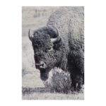 North Range Painting OL1485 OL1485 2