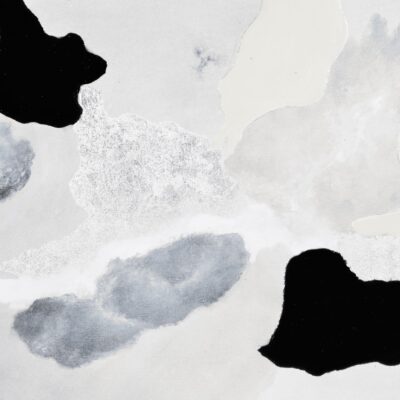 Alasia Canvas Art 6 Alasia Canvas Art OL2082 OL2082 2