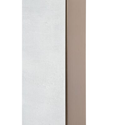 Gobi Canvas Art OL2111 OL2111 4