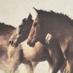 Ares Painting OL2126 OL2126 4