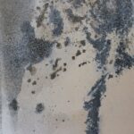 CEIBA Painting OL2244 OL2244 4