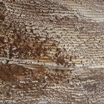 Corallo Canvas Art 10 Corallo Canvas Art OL2296 OL2296 5