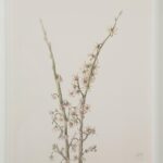 Crema Painting PA0043 PA0043 29