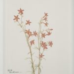 Crema Painting PA0043 PA0043 3