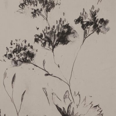 Adeline Wall Decor PA0060 PA0060 14