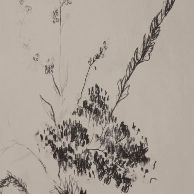 Adeline Wall Decor PA0060 PA0060 5