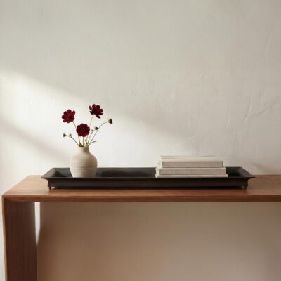 Orion Tray 4 Orion Tray PZ-1028-07 PZ 1028 07 10