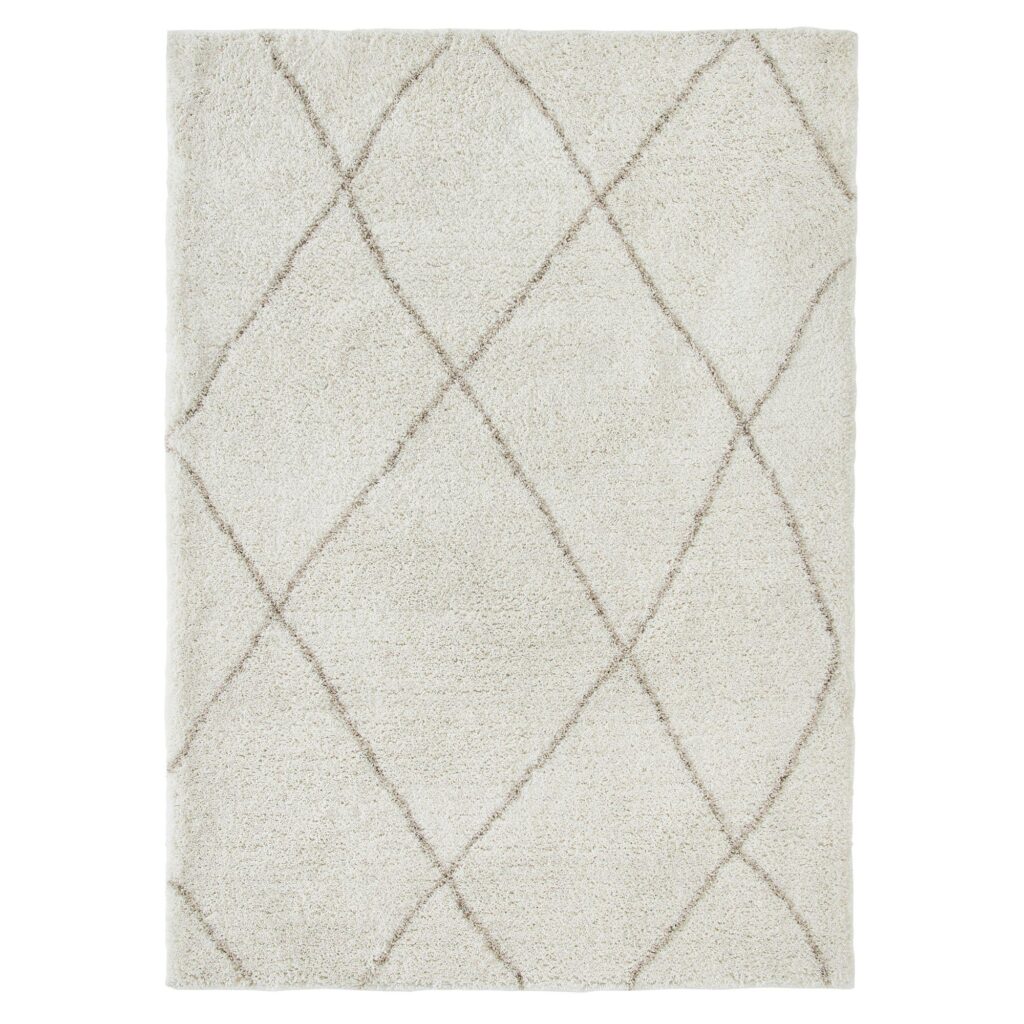 ALLEN 10' x 13' Rug
