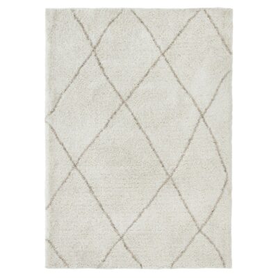 ALLEN 10' x 13' Rug