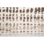 ARIELLA 8' x 10' Rug RARI-20035-810 RARI 20035 1