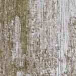 BLAKE 5' x 7' Area Rug RBLA-71425-57 RBLA 71425 57 4