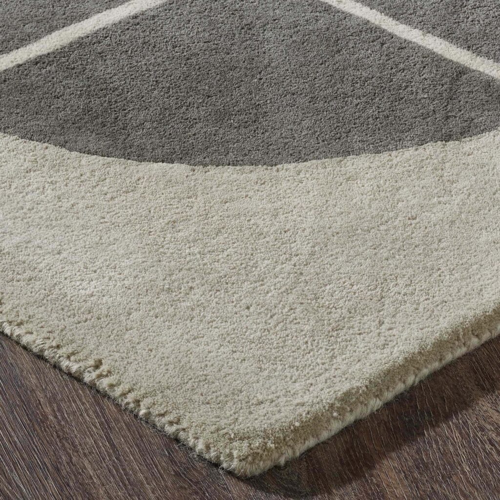 PERSEVERANCE 5' x 7' Rug - Image 2