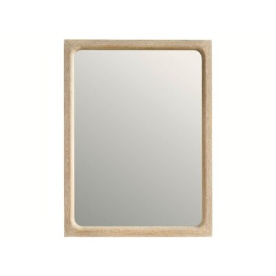 Desert Mirror
