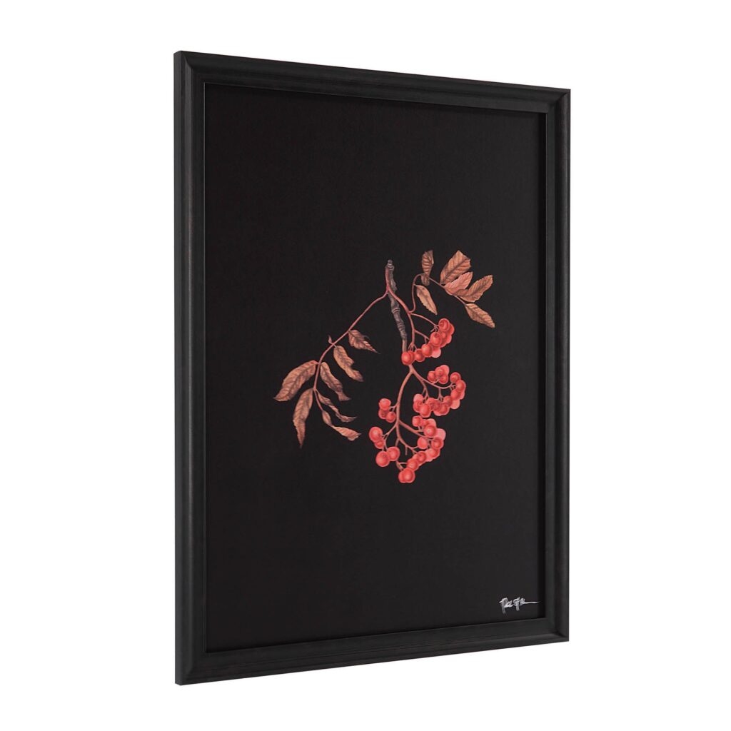 Banff Alternative Wall Decor - Image 15