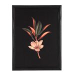 Banff Alternative Wall Decor W6715 W6704 17