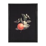 Banff Alternative Wall Decor W6715 W6704 31