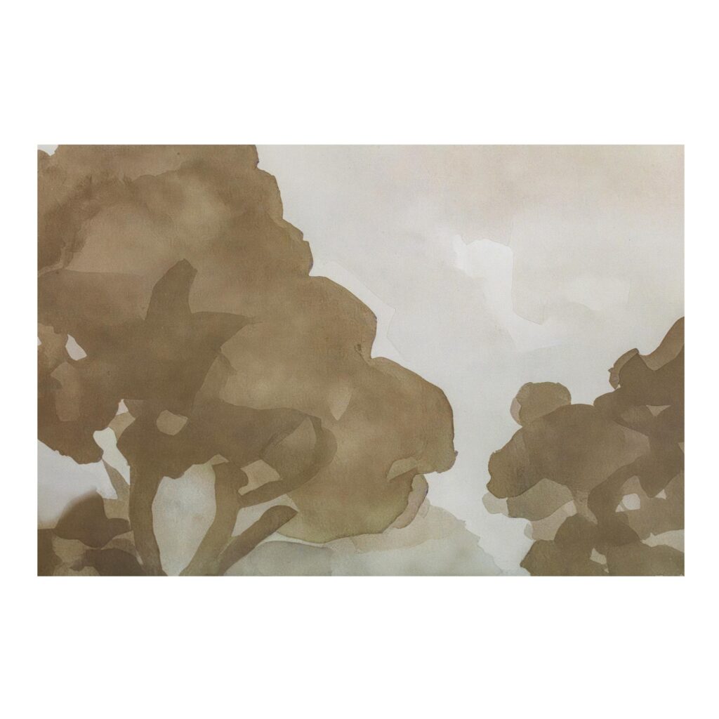 Ash Framed Print - Image 4