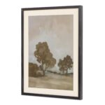 Ash Framed Print WP-1326-37 WP 1326 37 Ash diagL shadsilo
