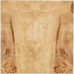 Auberon Burl Side Table M30-80113-80 m30 80113 80 top1